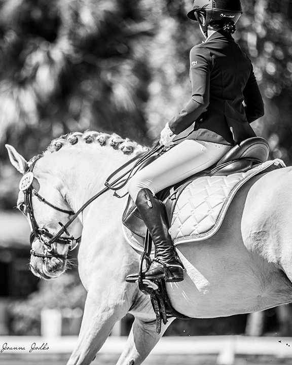 Gray dressage horse with a braided mane and rider in show attire at a dressage competition